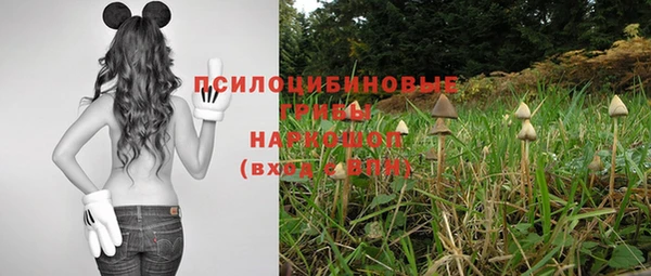 дурь Баксан