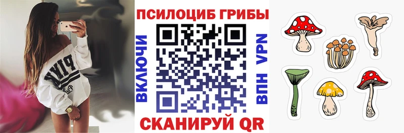 Галлюциногенные грибы GOLDEN TEACHER  ОМГ ОМГ вход  Хасавюрт 